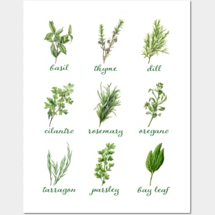 Culinary Herb Design for Chefs and Home Cooks Posters and Art